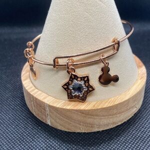 Alex & Ani Disney Parks Mickey Icon ❄️Snowflake❄️Holiday Bangle Bracelet/NWOT